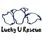 Logo for Lucky U Rescue: three white pet outlines above black text.