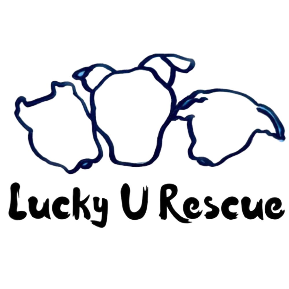 Logo for Lucky U Rescue: three white pet outlines above black text.
