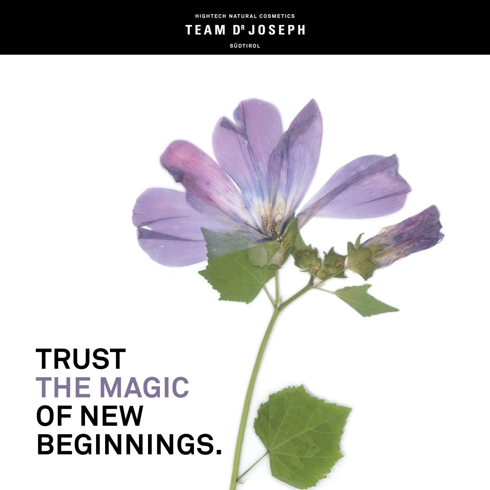 Skin - Naturkosmetik Team Dr. Joseph