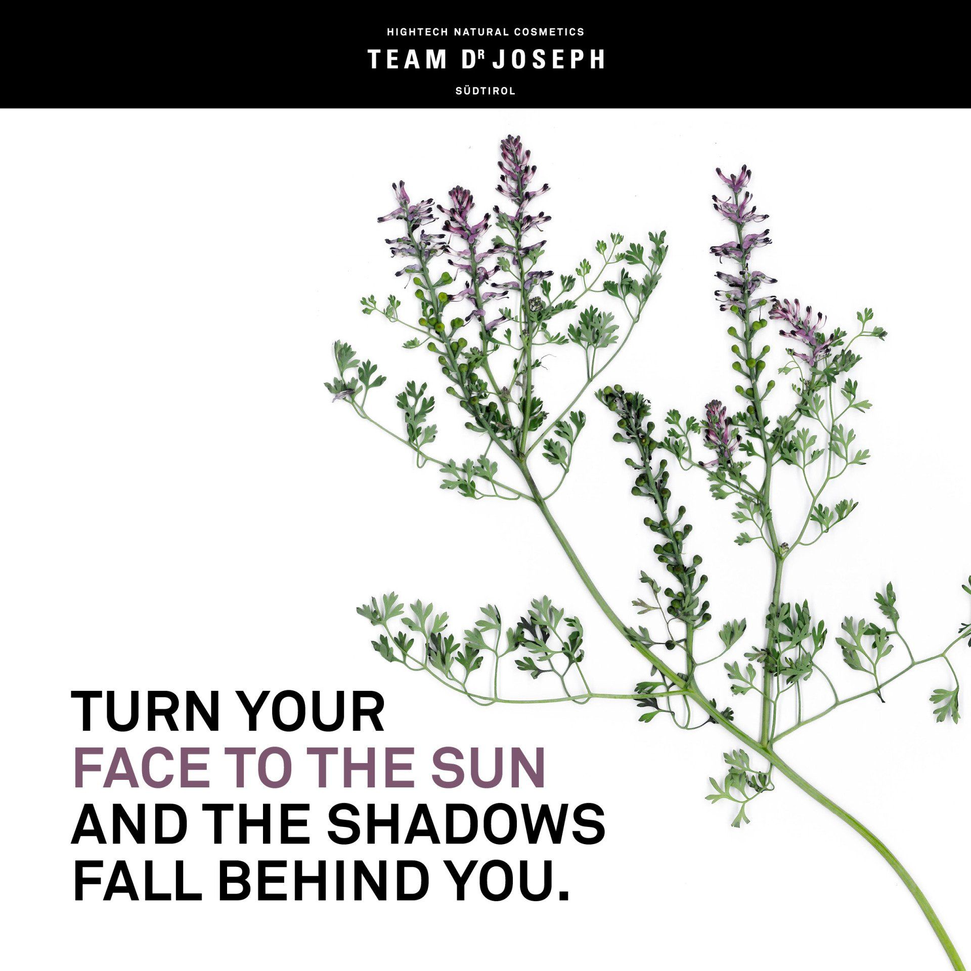 Naturkosmetik - Team Dr. Joseph, Südtirol