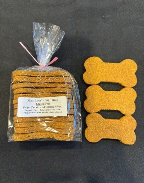 Sweet Potato and Salmon Large Size 1 Dz.