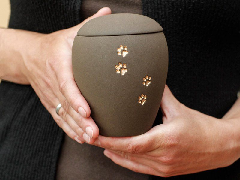 pet cremation urn with pawprints