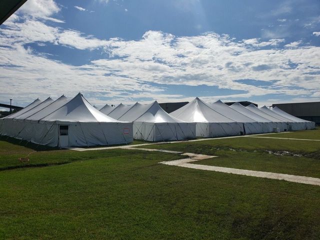 Yellow trucks parked on a dirt road in a foggy forest. A small wooden shed is visible.