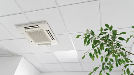 A white ceiling with a plant growing out of it.