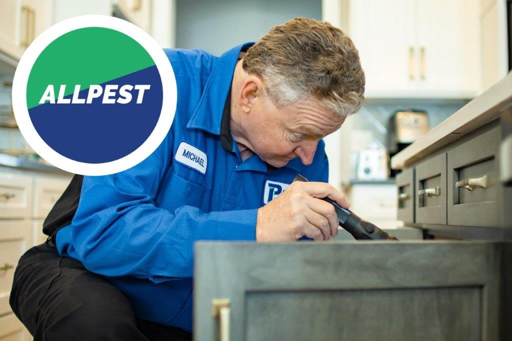 Pest Control Expert — Newburgh, IN — Pass Pest Control