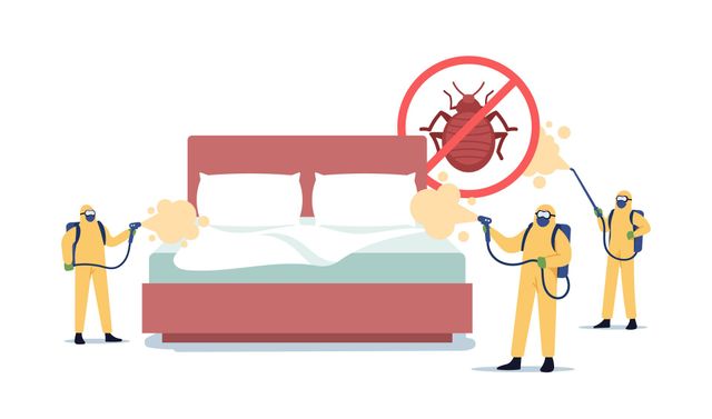 Bed Bug Treatment 