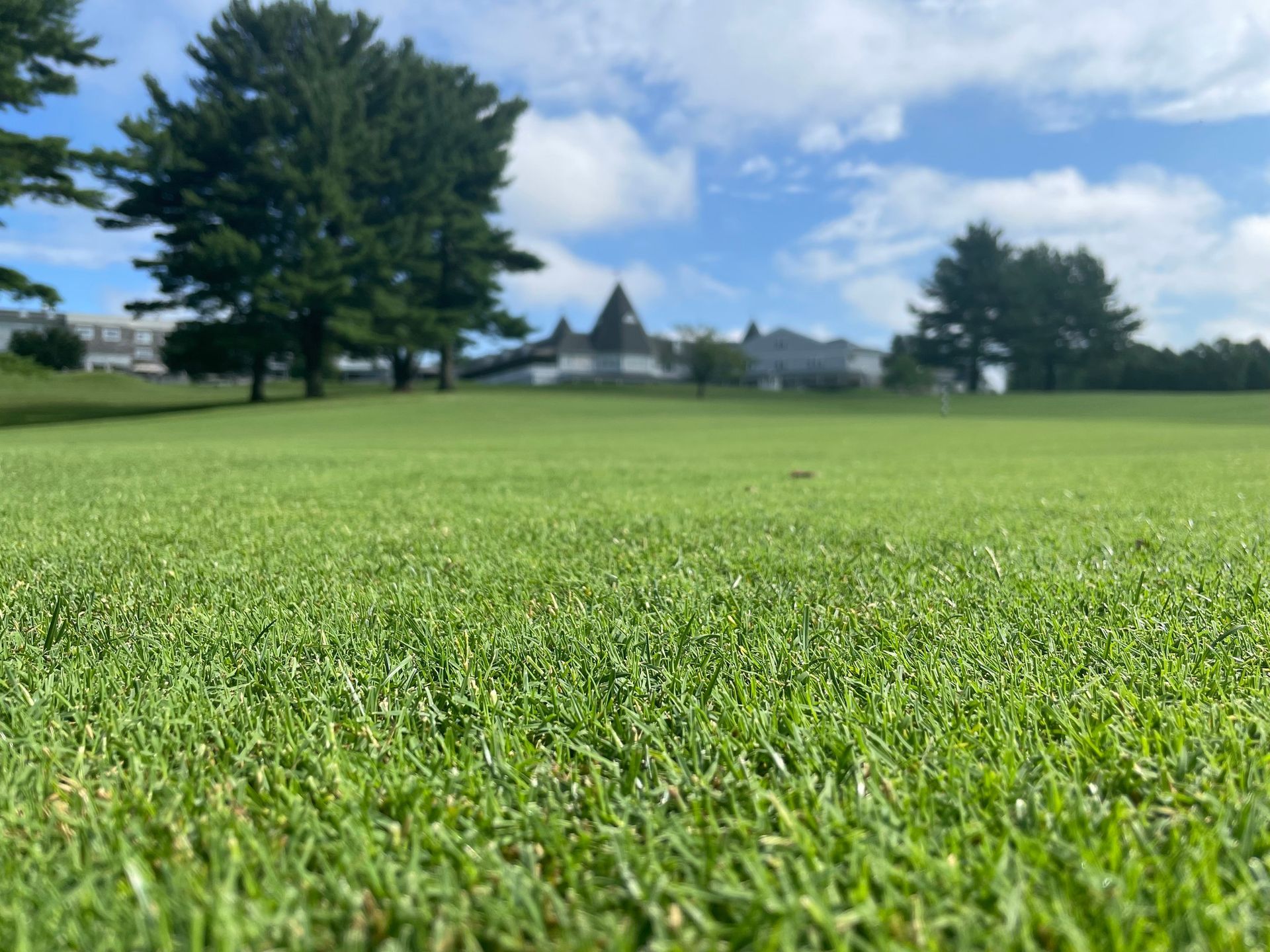 Green grass field with a building and trees under a cloudy blue sky.