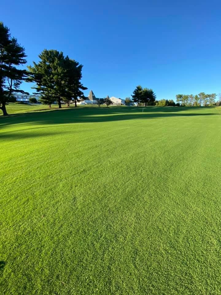 Black wire golf ball basket filled with white golf balls, placed on brick.