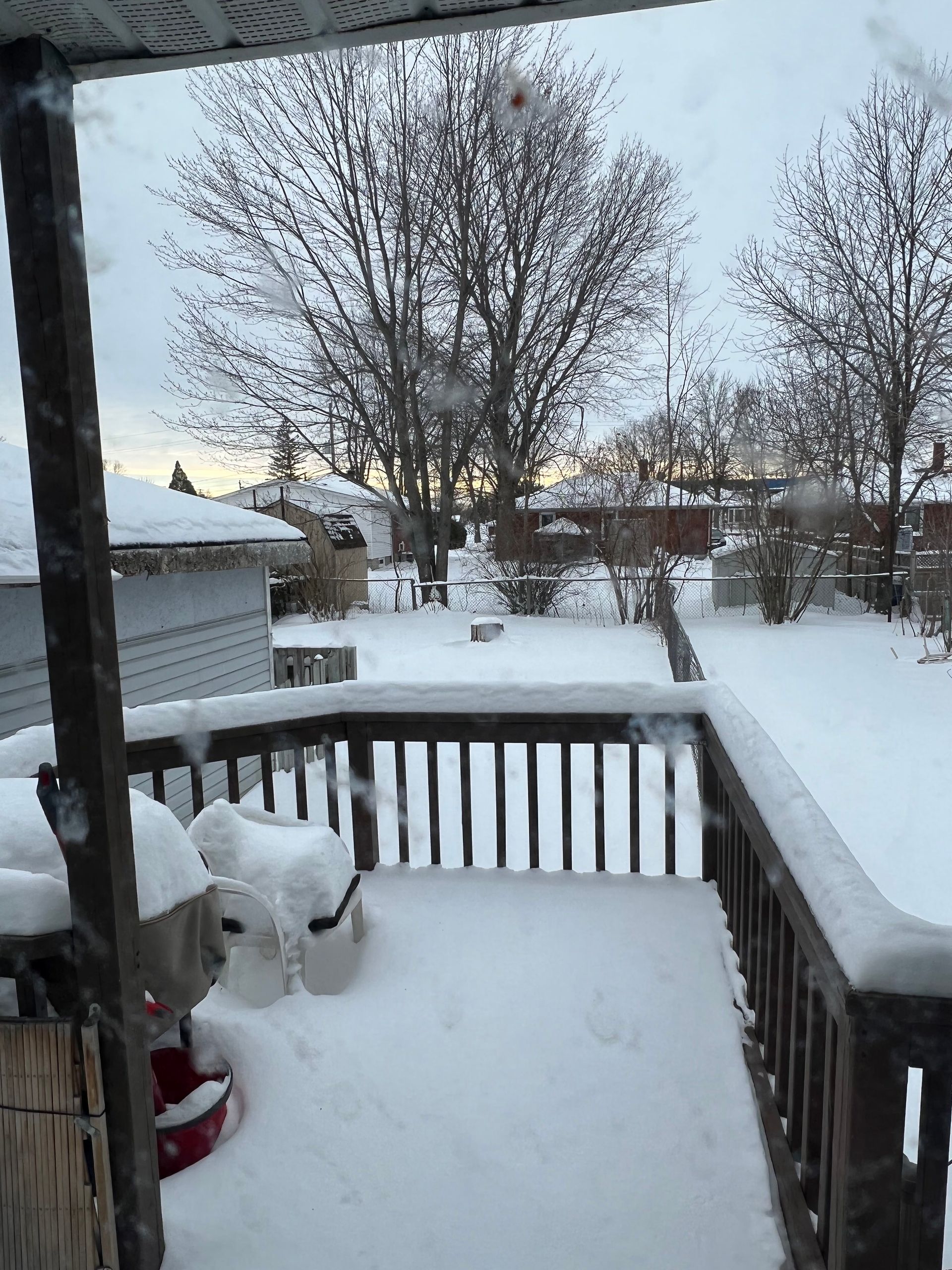 A snowy porch with a few trees in the background