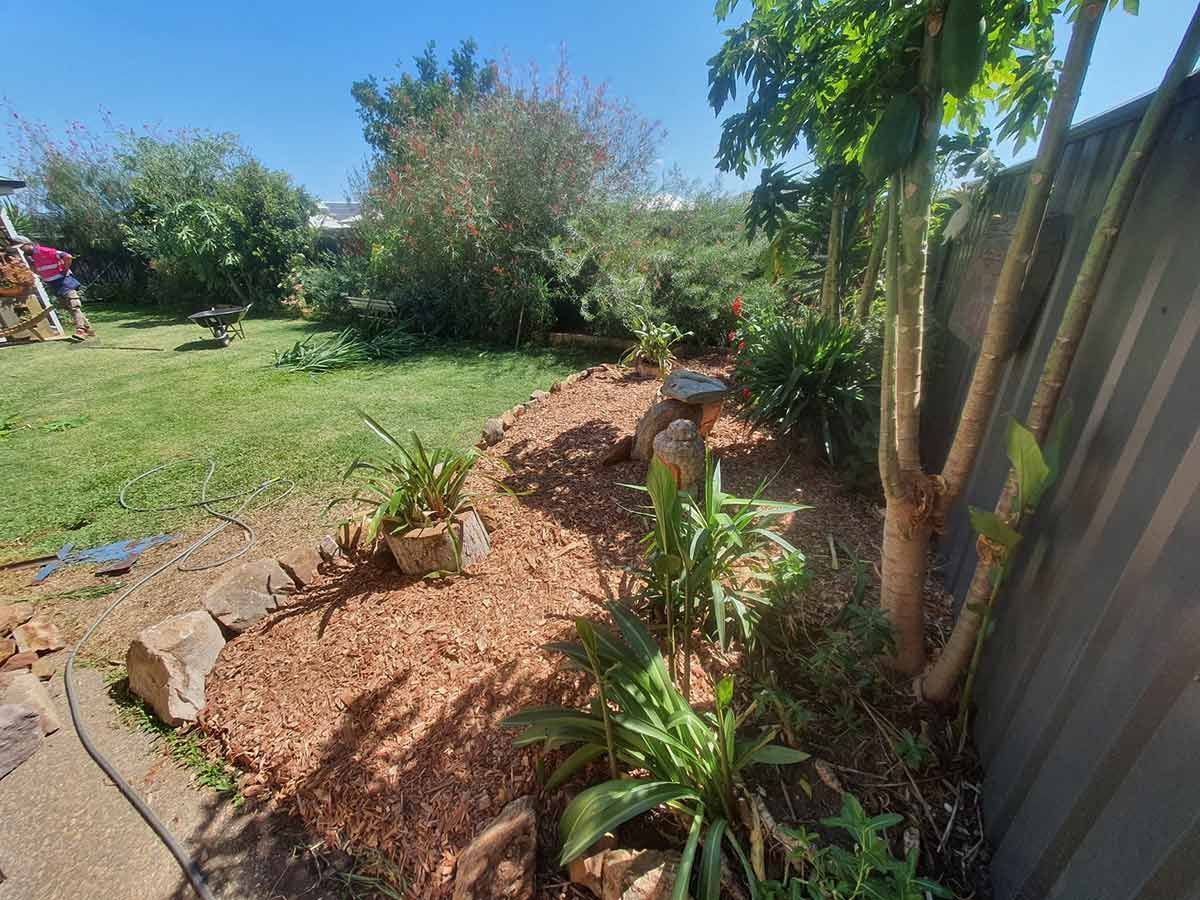 A Lush Green Lawn With White Rocks and Shrubs in a Garden — Beehive Property Maintenance in Dysart, QLD