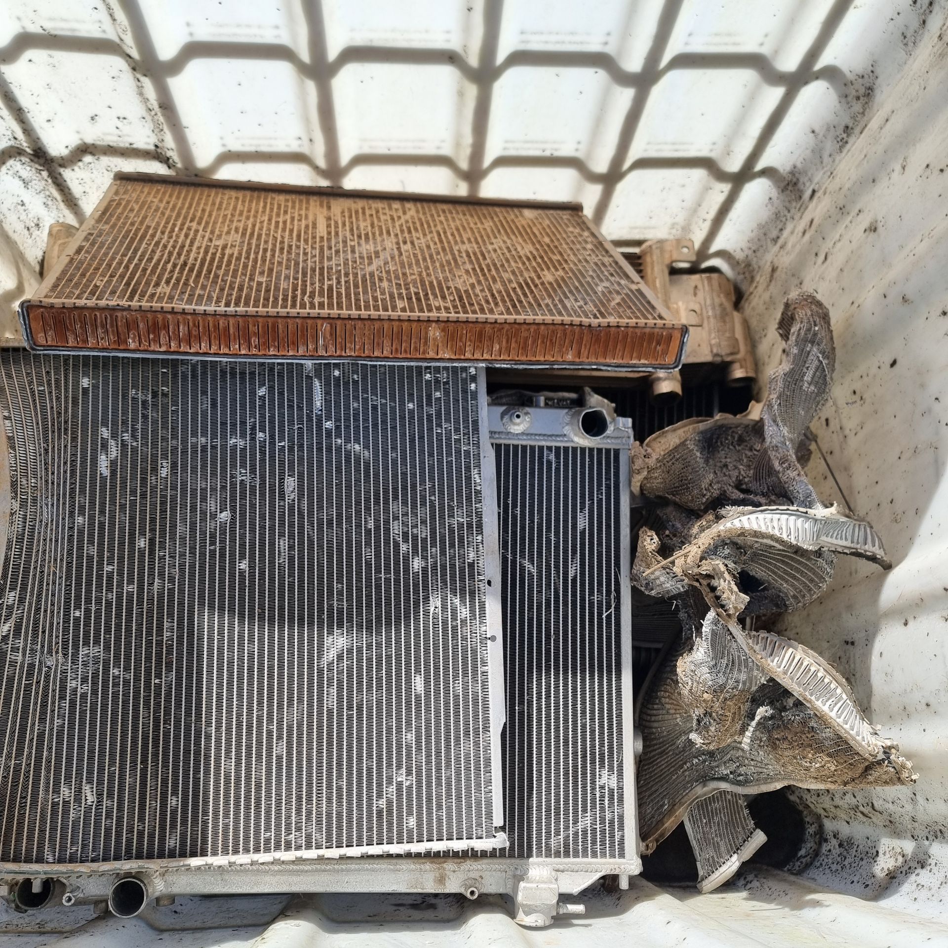 A Small Tree is Growing in the Middle of  Garden Surrounded by Trees and Mulch — Beehive Property Maintenance in Emerald, QLD