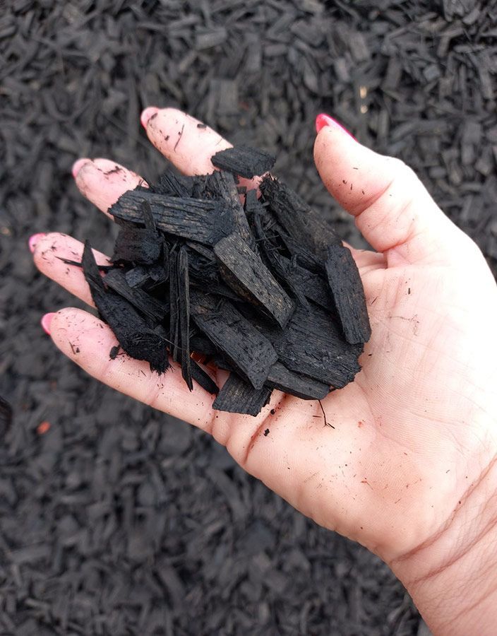 A Person is Holding a Pile of Black Mulch in Their Hand — Beehive Property Maintenance in Gemfields, QLD