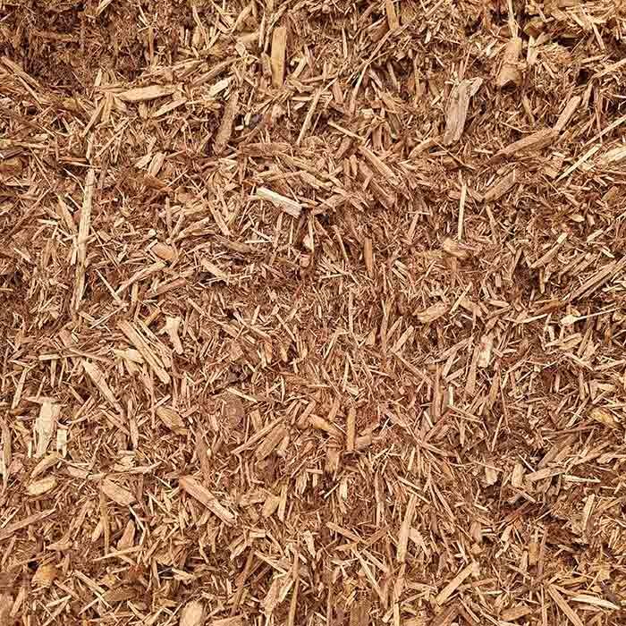 Cypress Orange — Beehive Property Maintenance in Emerald, QLD