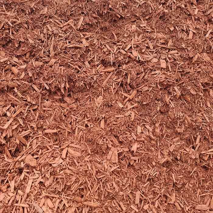 Cypress Red  — Beehive Property Maintenance in Emerald, QLD