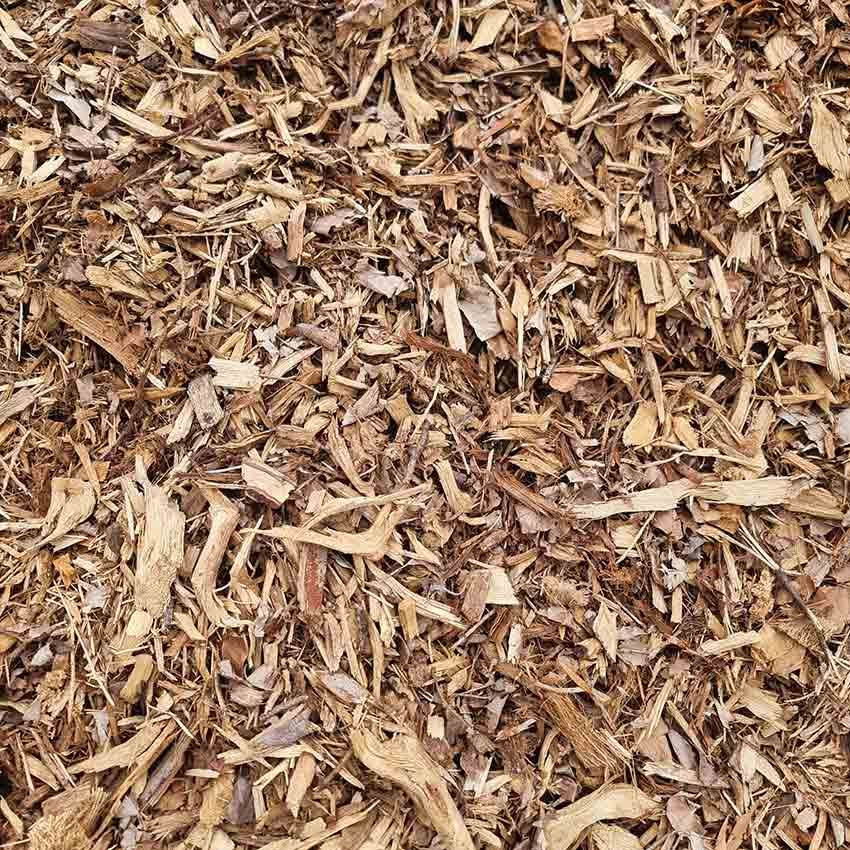 Forest Mulch — Beehive Property Maintenance in Emerald, QLD