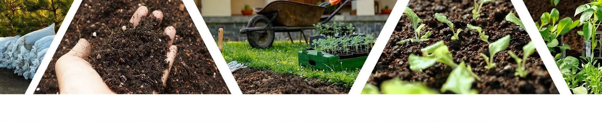 A Collage of Images Showing Different Stages of Growing Plants — Beehive Property Maintenance in Gemfields, QLD