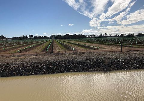 Water Pump — Long River Pumps in Wilby VIC