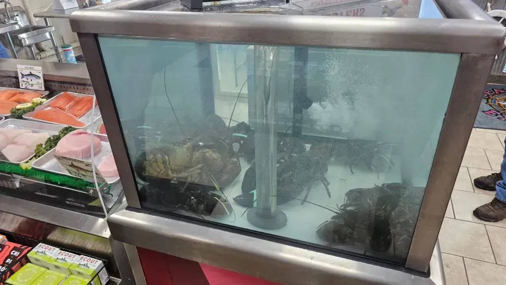 A large aquarium filled with fish in a store.