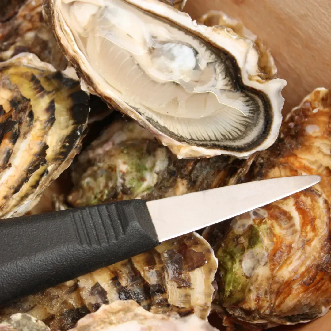 oyster knifes for sale