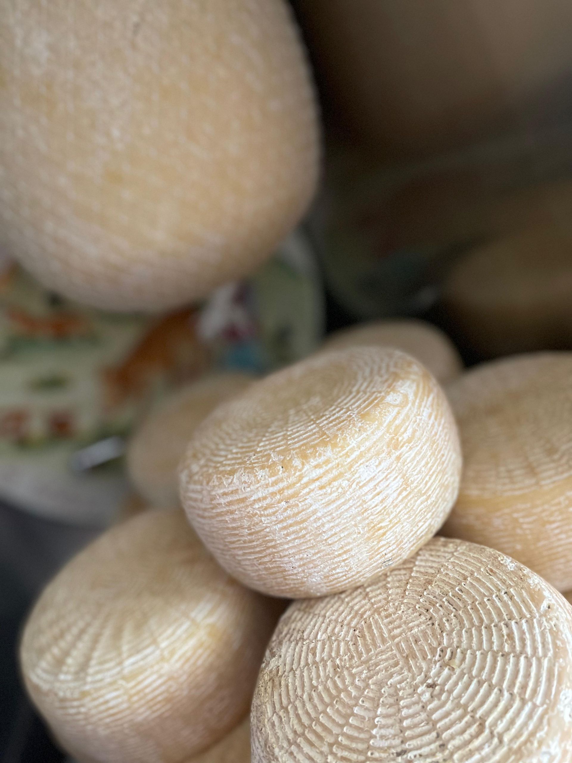 Primo piano di diversi piccoli formaggi rotondi con superficie rigata e colore marrone chiaro.