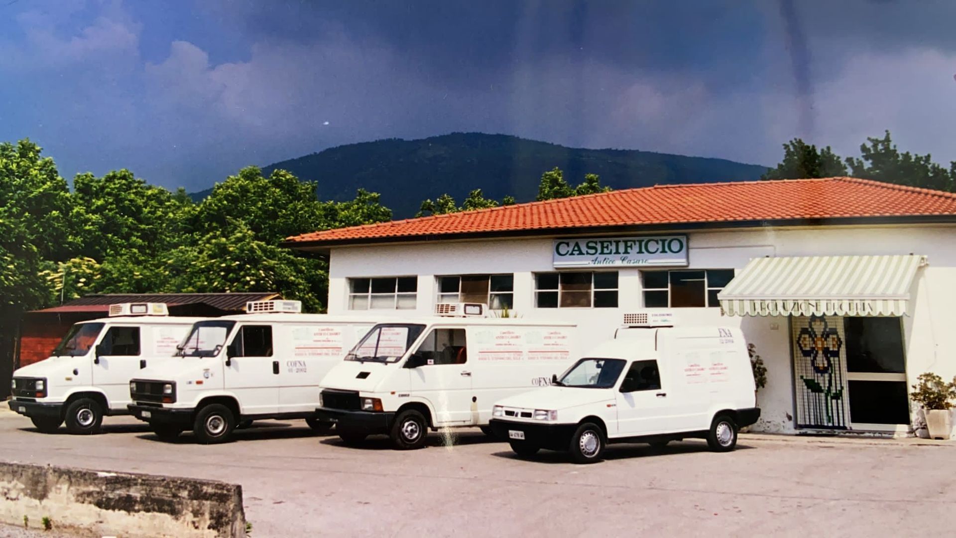 Quattro furgoni bianchi per le consegne parcheggiati fuori da un edificio con un cartello: "Carneificio". Sullo sfondo una montagna.