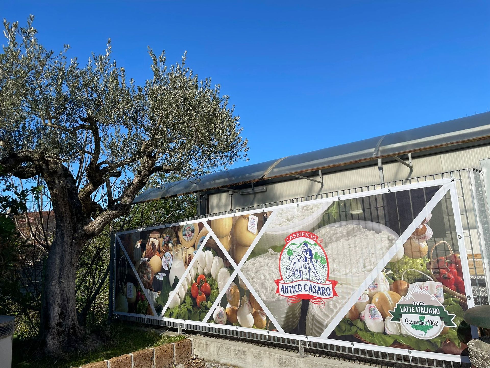 Un ulivo accanto a una staccionata bianca con una pubblicità di prodotti alimentari sullo sfondo di un cielo limpido e soleggiato.