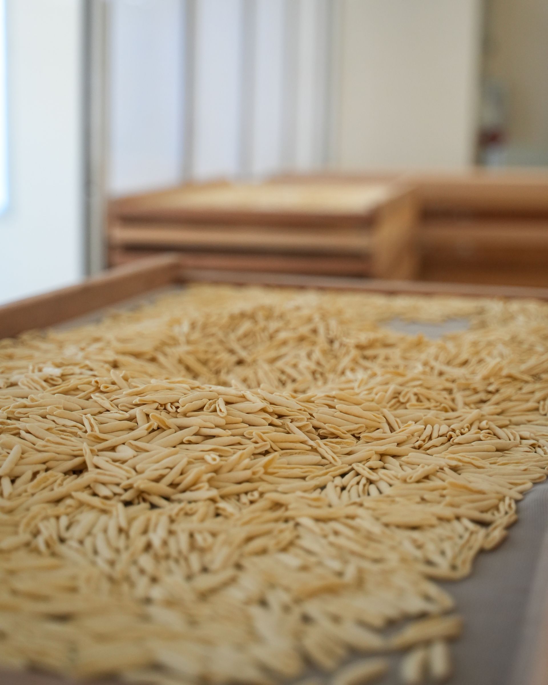 Pasta che si asciuga su vassoi di legno, un primo piano con uno sfondo sfocato di vassoi impilati.