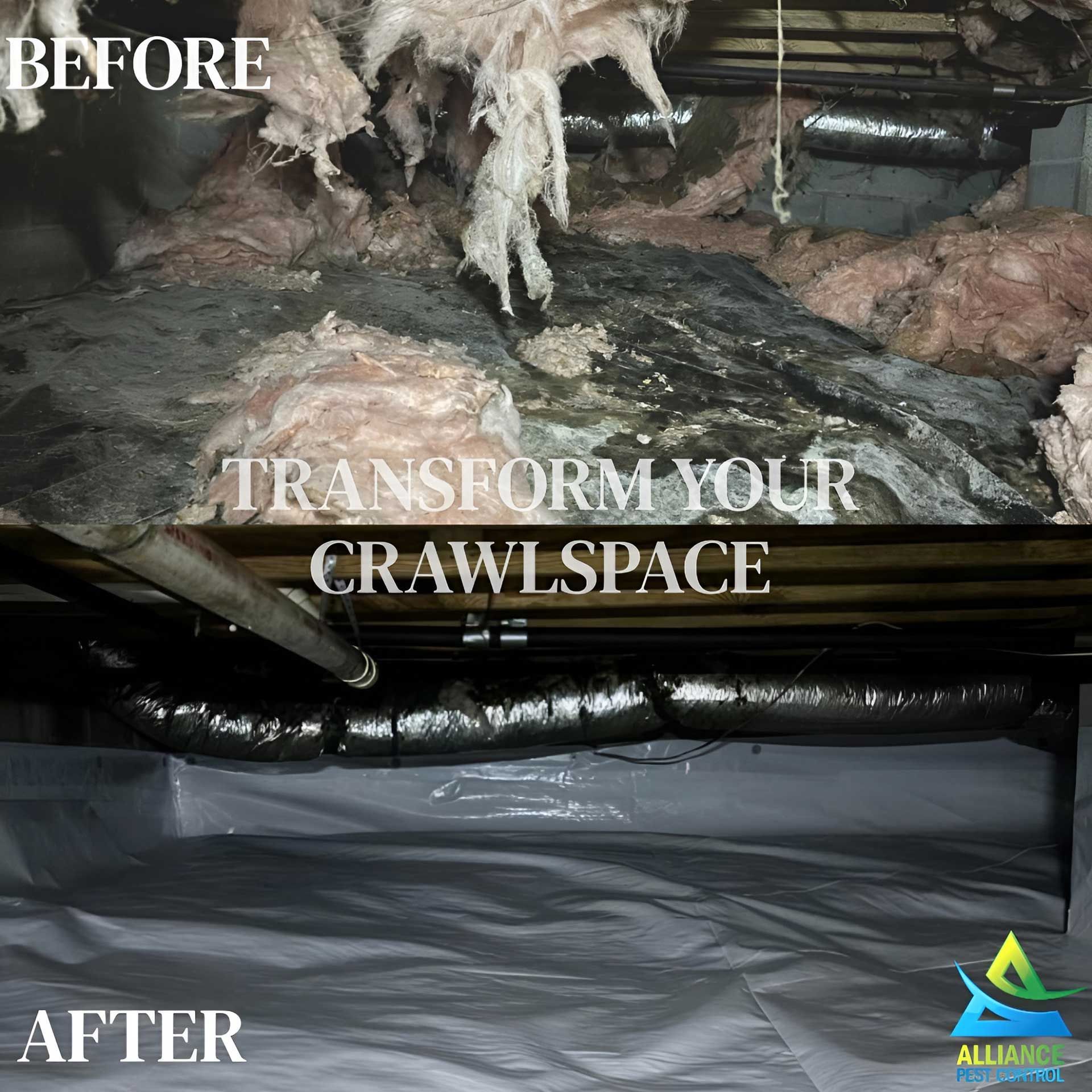 Before/after of a crawlspace: moldy & damaged to clean with vapor barrier. Black/gray & white.