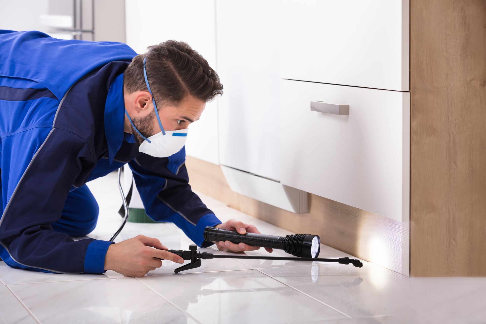 Pest control technician inspecting under kitchen cabinets with flashlight wearing respirator mask.