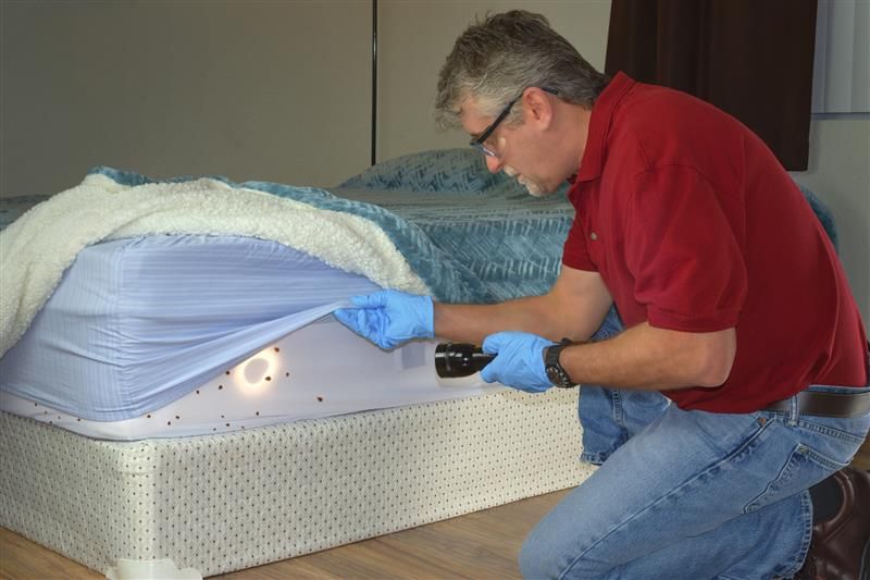 Technician inspecting mattress for bed bugs during professional pest control service.