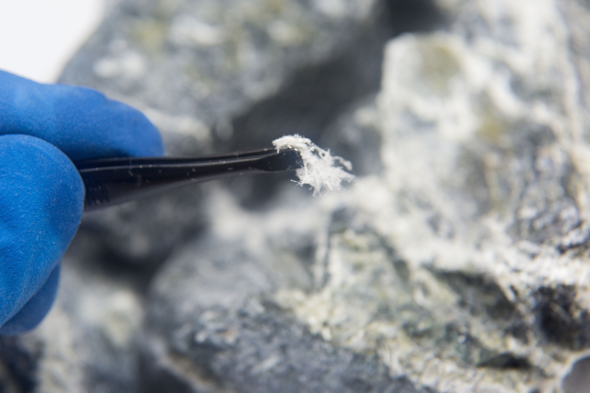 A person wearing blue gloves is holding tweezers over a rock.