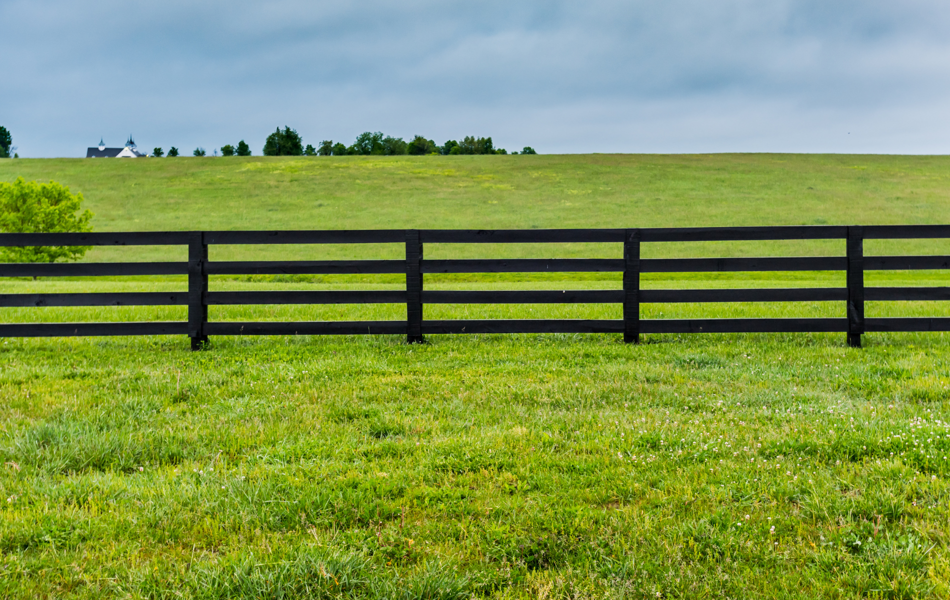 A wooden fence surrounds a lush green field.