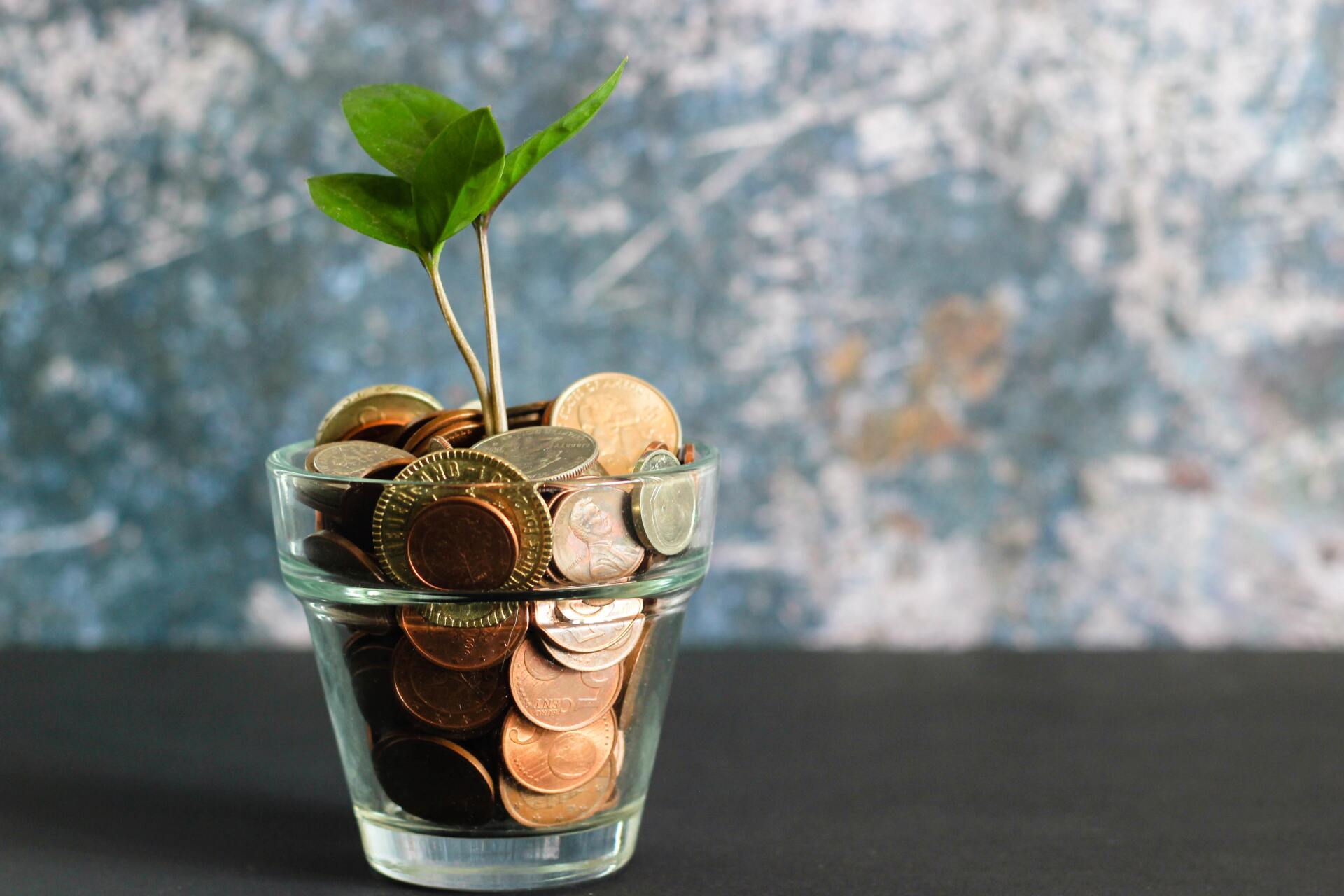 A small plant grows out of a pot filled with saved money