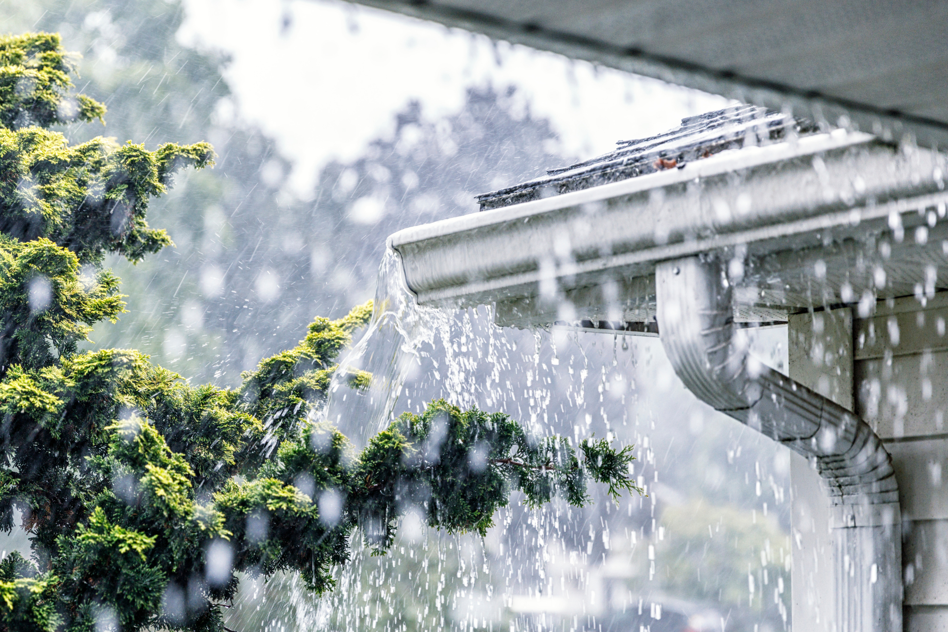 Preparing Your Home for Spring Weather Risks