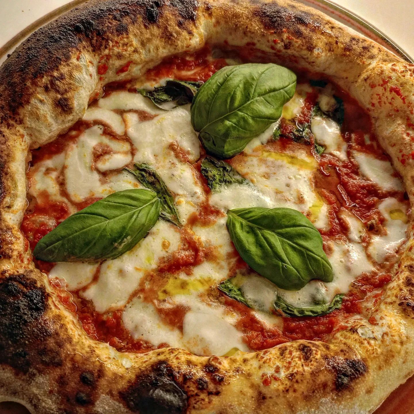 pizza margherita