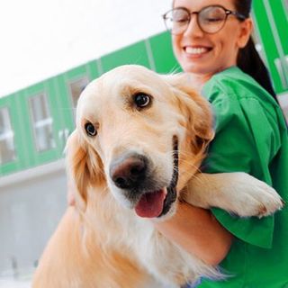 Veterinary Services