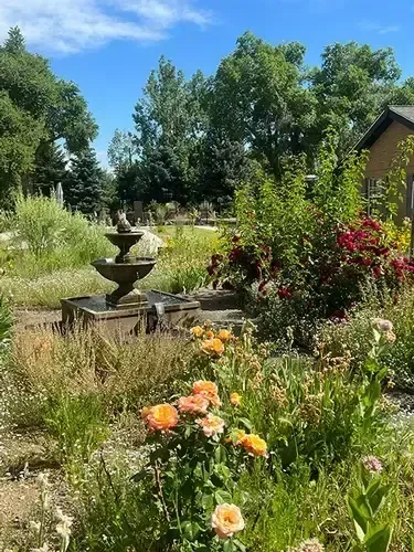 There is a fountain in the middle of the garden surrounded by flowers.