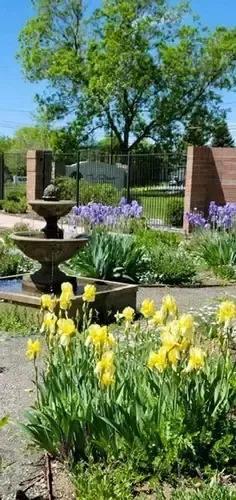 There is a fountain in the middle of the garden with yellow flowers.