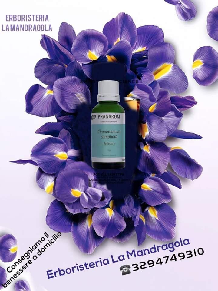 Pranarum La Mandragola Lerici