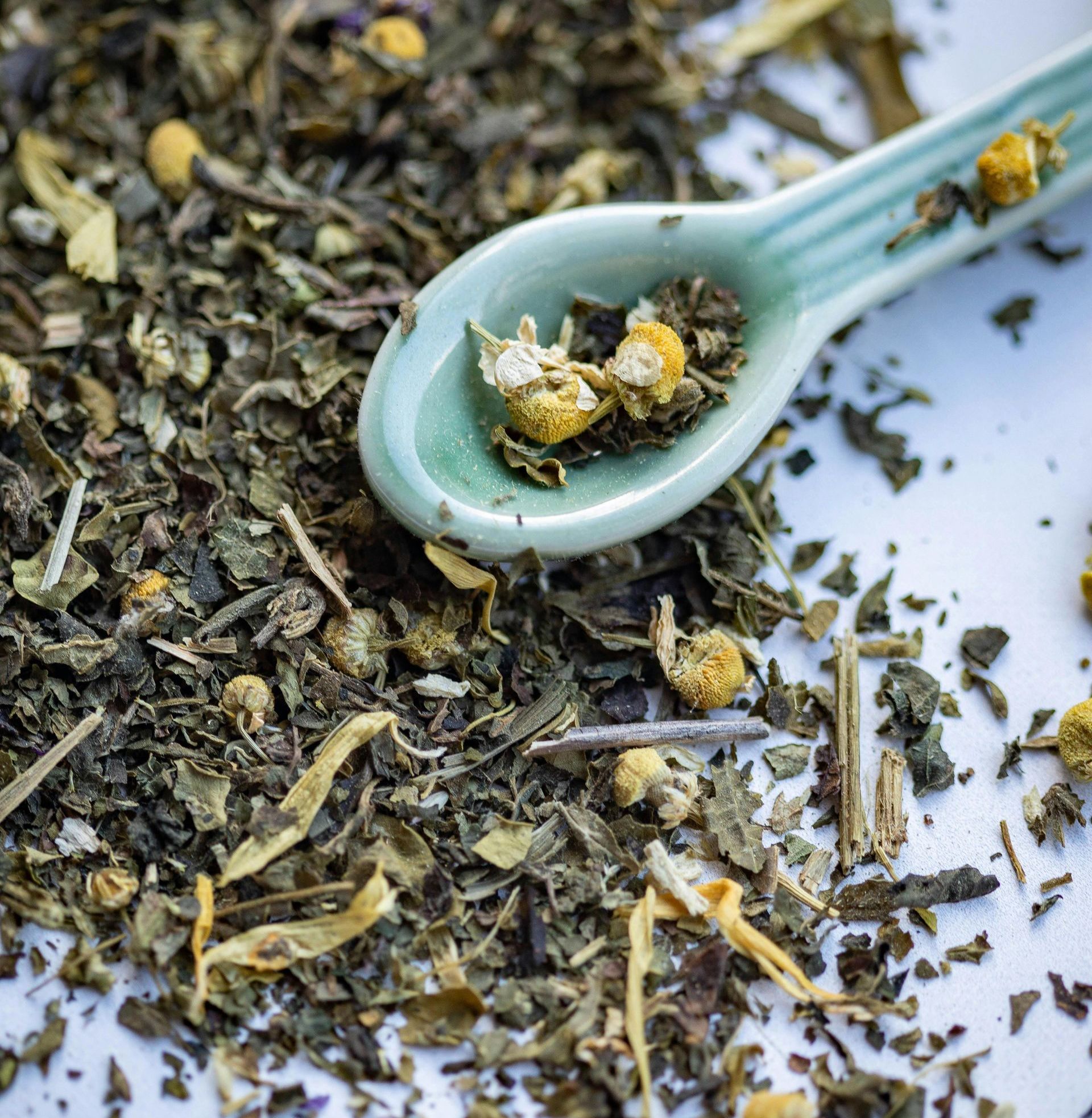 tisane biologiche La Mandragola Lerici