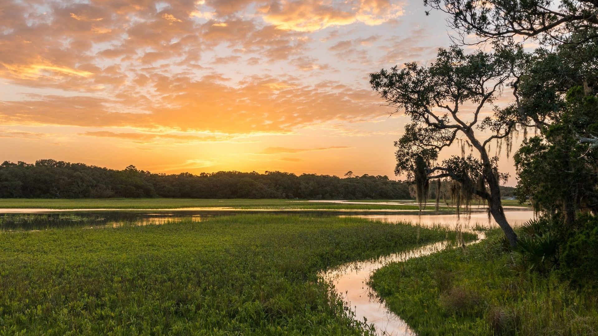 A sunset over a swamp with a path going through it near Livano Wildwood