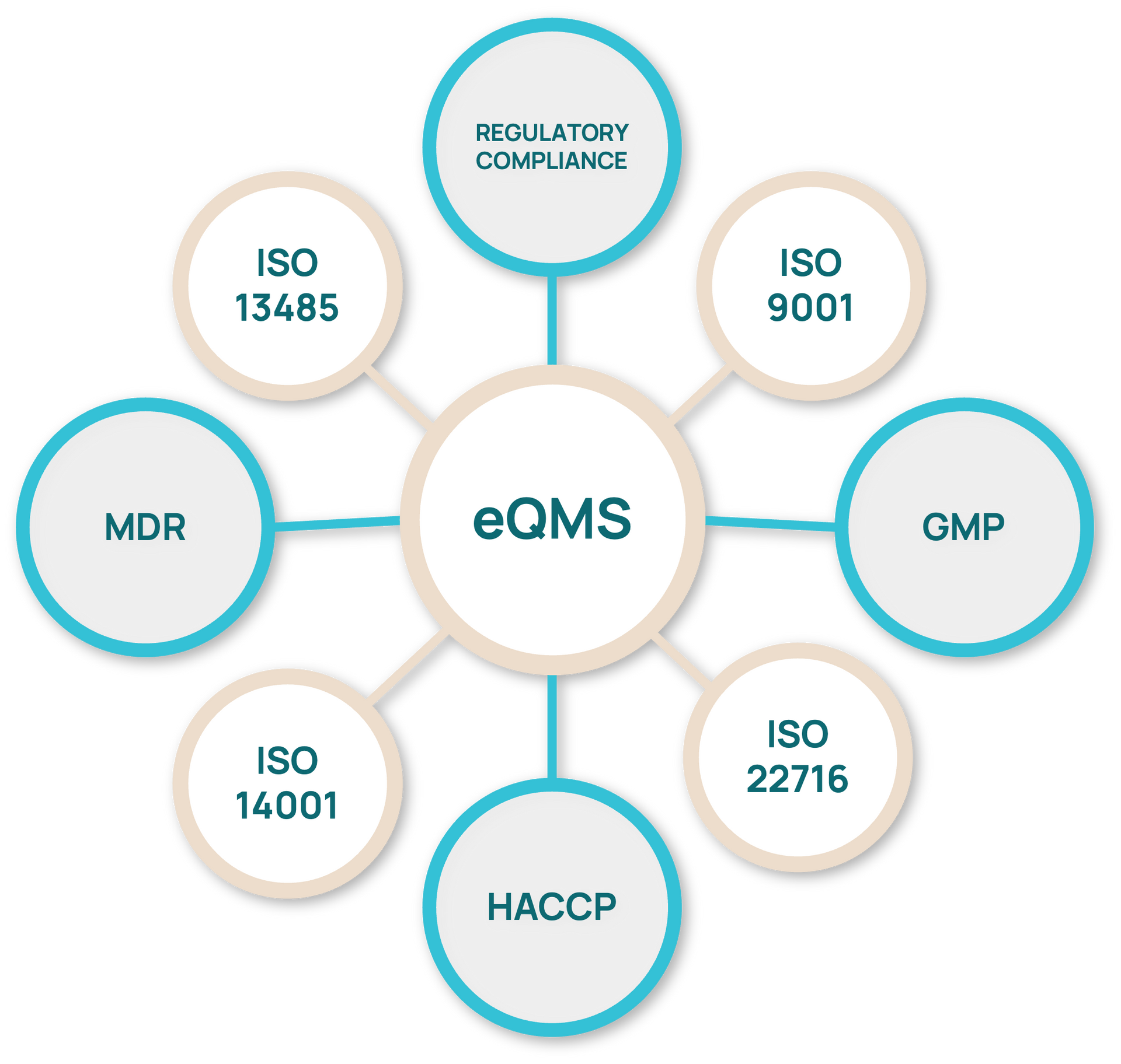 eQuality Management System