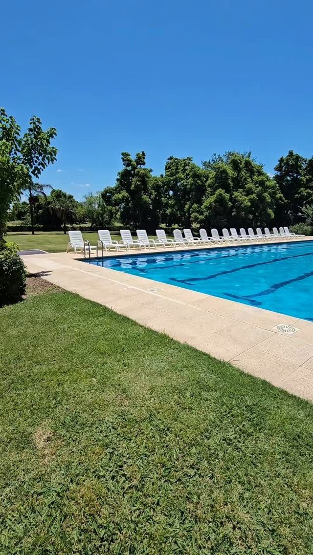 Piscina al aire libre con agua azul, tumbonas y césped bajo un cielo azul despejado.