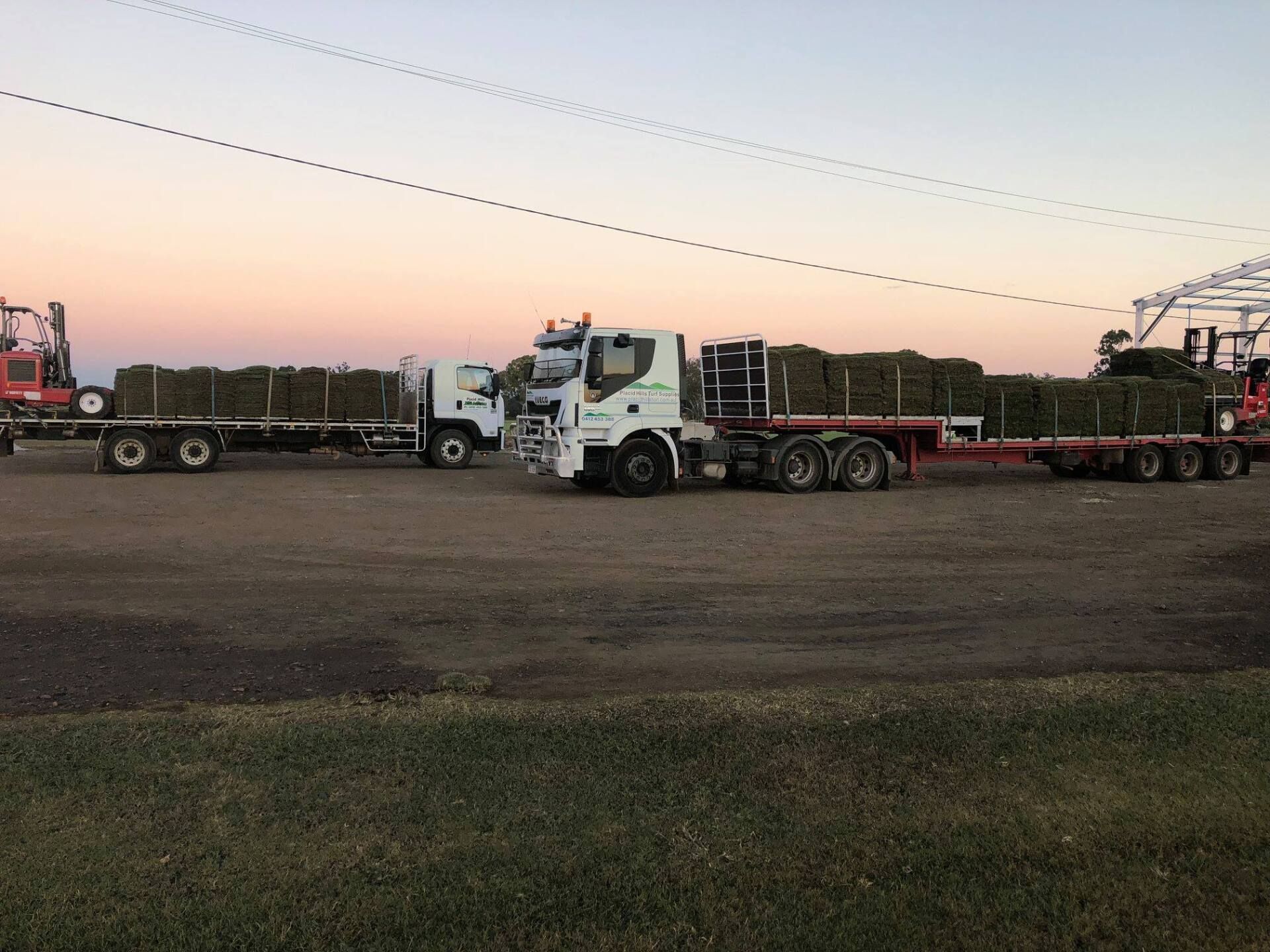 Trucks Loaded With Hay Bales at Dusk — Placid Hills Turf in Helidon, QLD