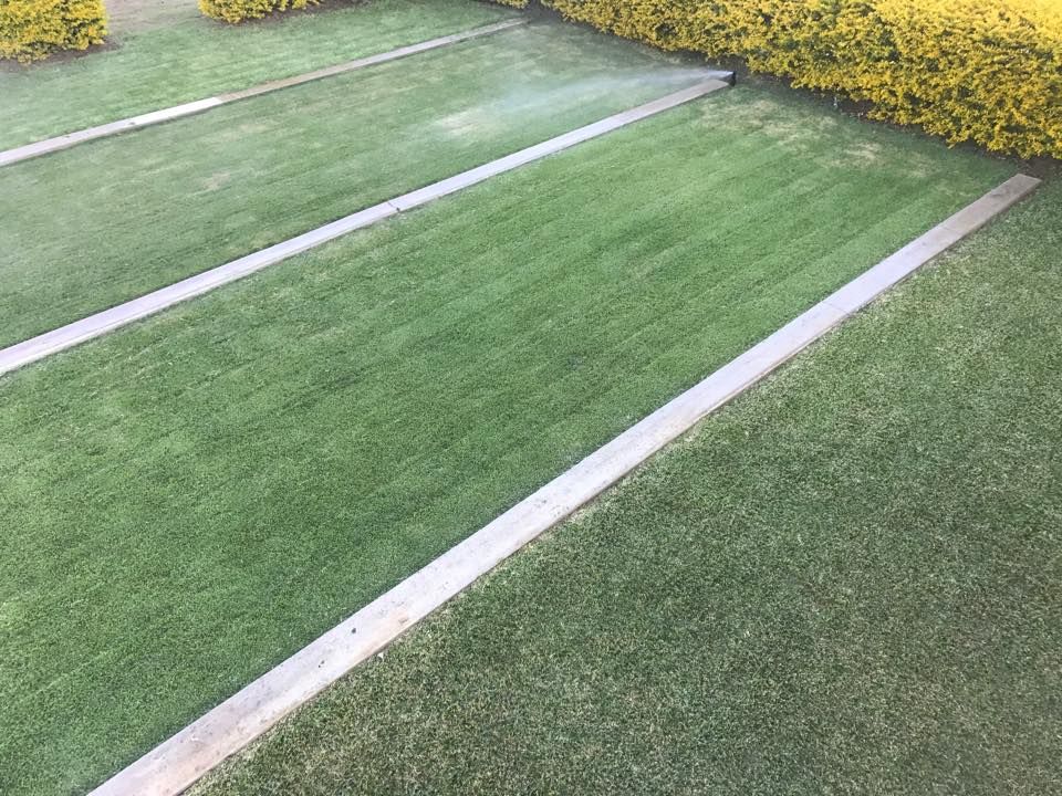Lush green lawn with concrete borders and a sprinkler system, next to a yellow hedge. — Placid Hills Turf in Highfields, QLD