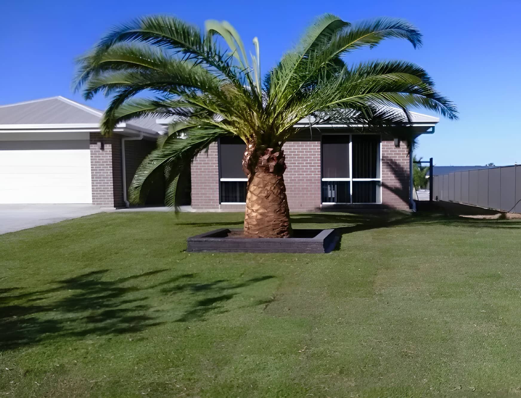 Palm Tree in a Square Planter in Front of a House With a Garage — Placid Hills Turf in Helidon, QLD