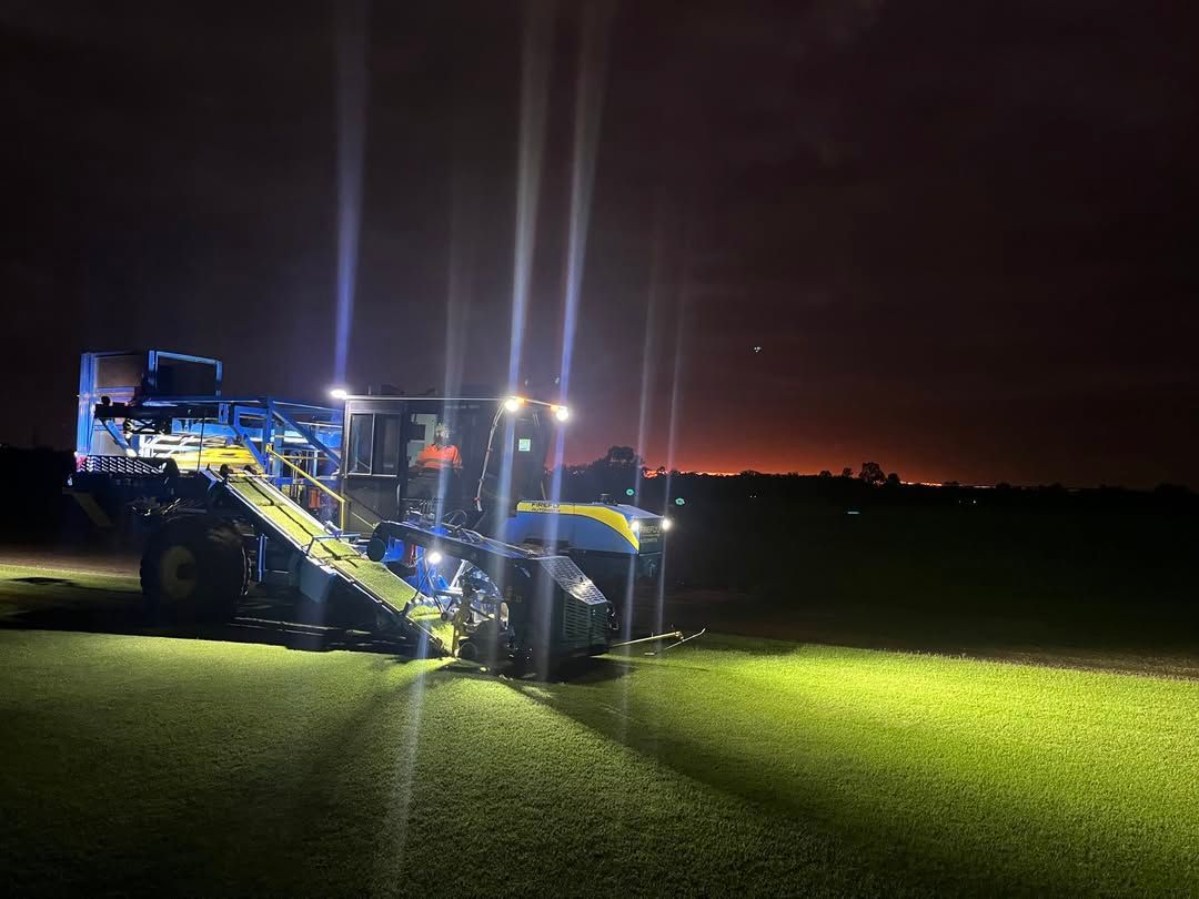 A tractor harvesting a field at night, illuminated by bright lights against a dark sky. — Placid Hills Turf in Warwick, QLD