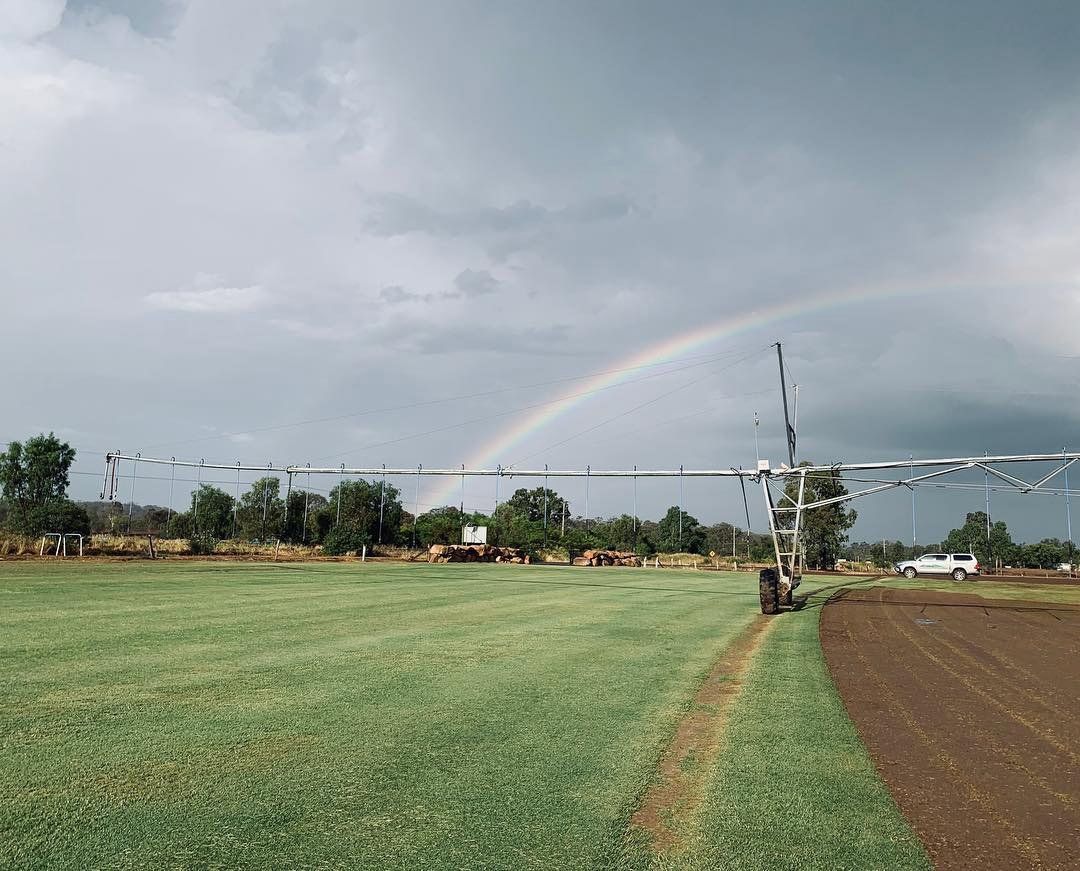 Rainbow Arcs Over a Green Field and a Plowed Brown Field — Placid Hills Turf in Helidon, QLD