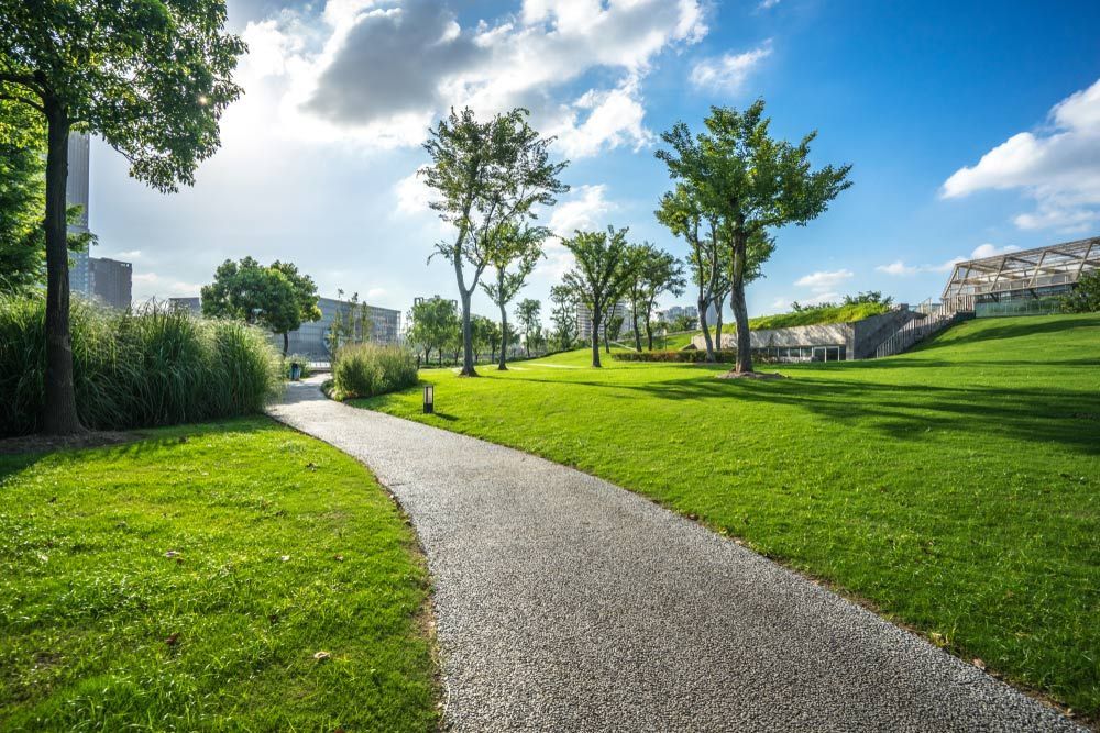 Stone Path Winds Through a Park With Green Grass and Trees — Placid Hills Turf in Warwick, QLD