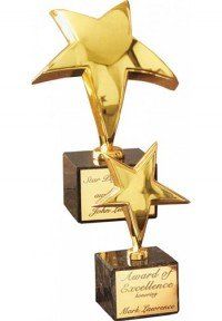 24K Goldplated Rising Star Award